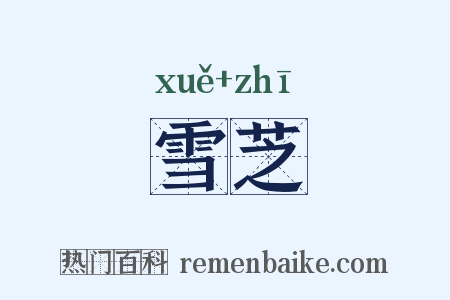 雪芝是什么意思的图片